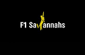 Savannah Cats For Sale - F1 & Bengal Kittens Miami Florida