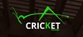 Cricket Pavers