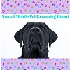 Sunset Mobile Pet Grooming Miami